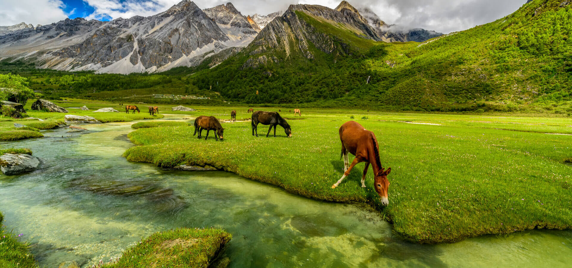 Jammu & Kashmir Valley, India